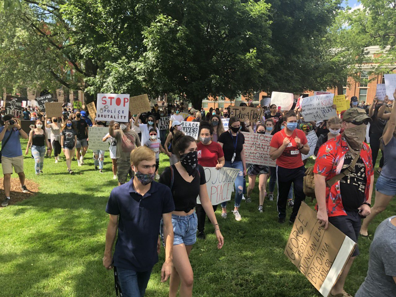 Floyd Demonstration in Leesburg II